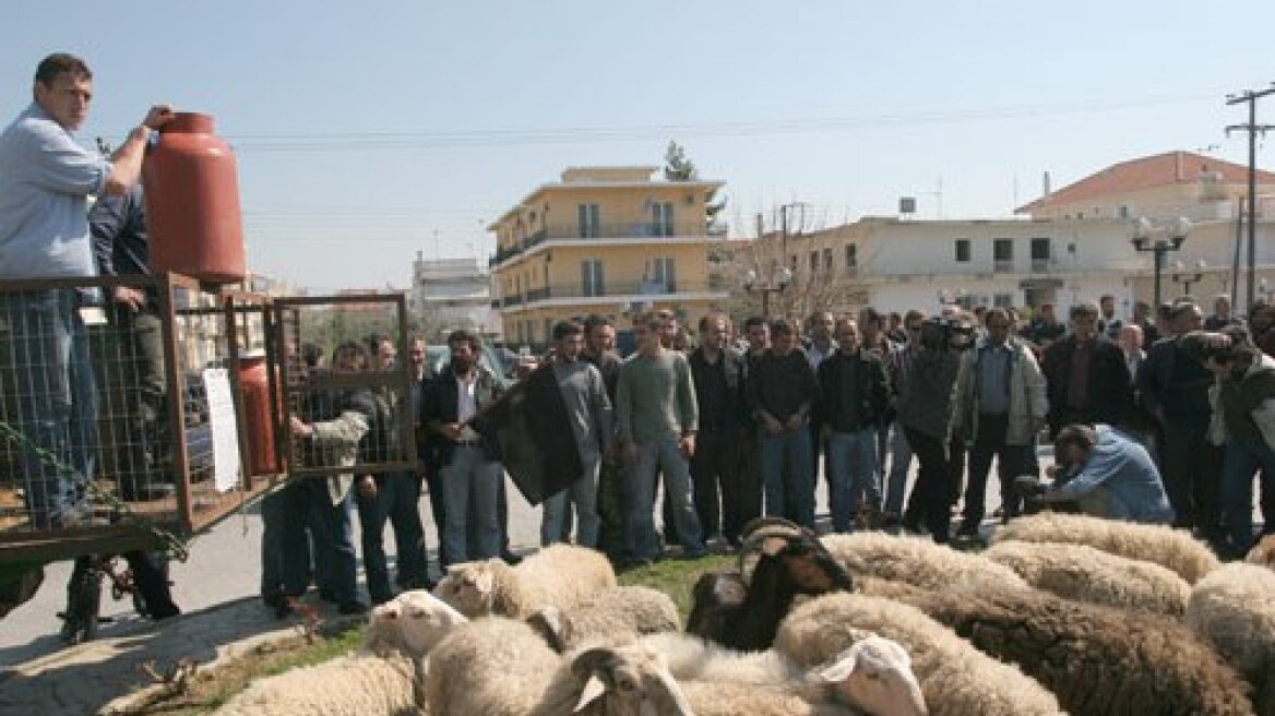 Με συλλαλητήριο στην Κομοτηνή ξεκινούν τις διαμαρτυρίες τους οι κτηνοτρόφοι
