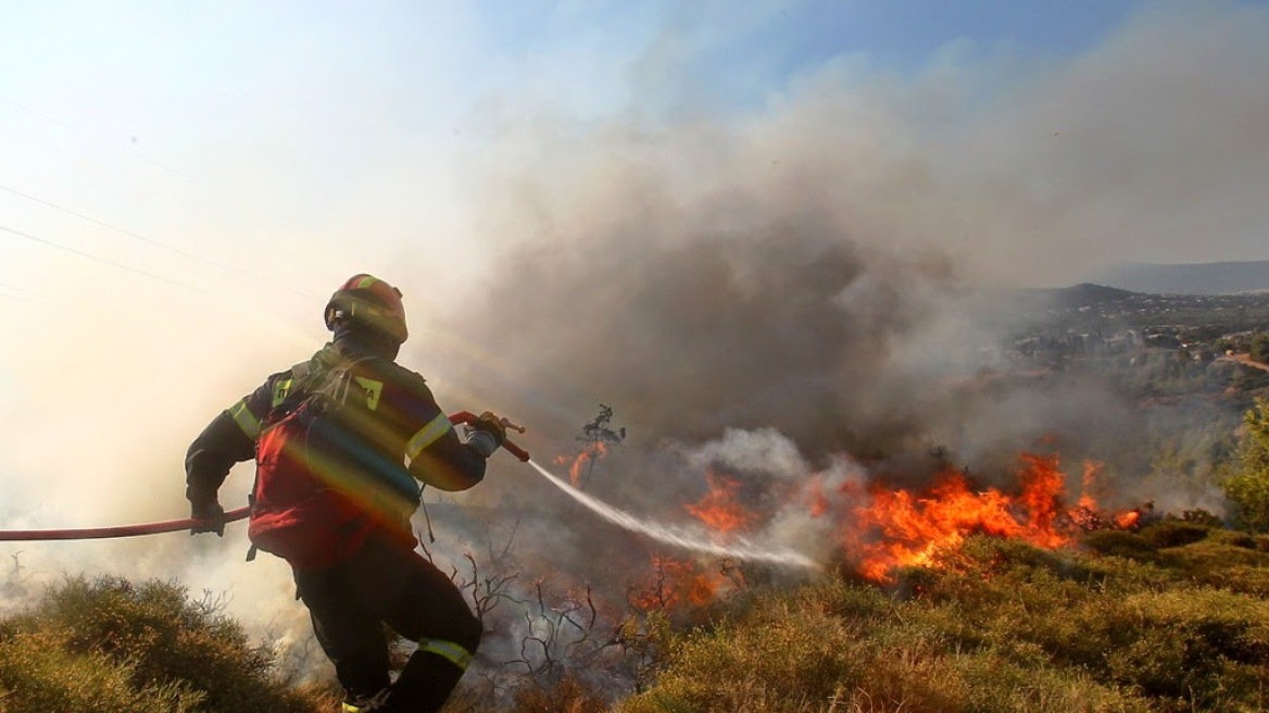 Μεσσηνία: Υπό μερικό έλεγχο η φωτιά - Συνεχίζεται η επιχείρηση κατάσβεσης