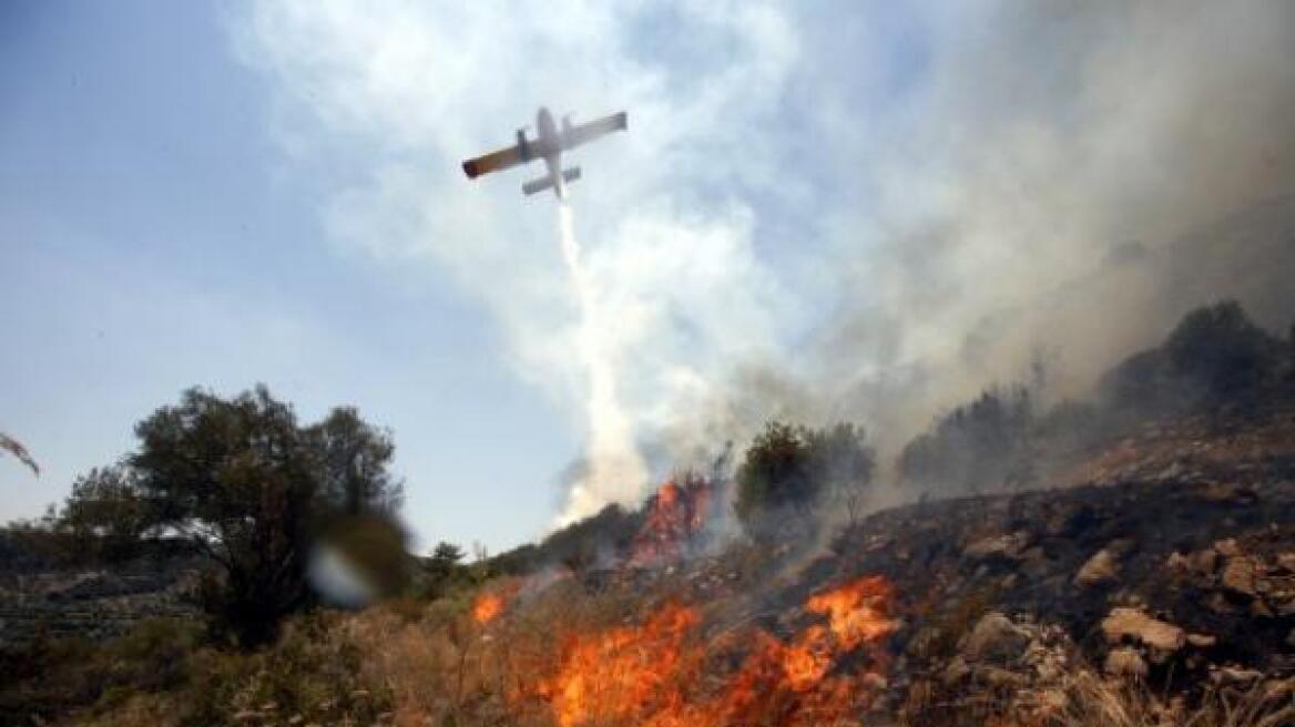 Λαμία: Συναγερμός για πυρκαγιά σε δασική έκταση 