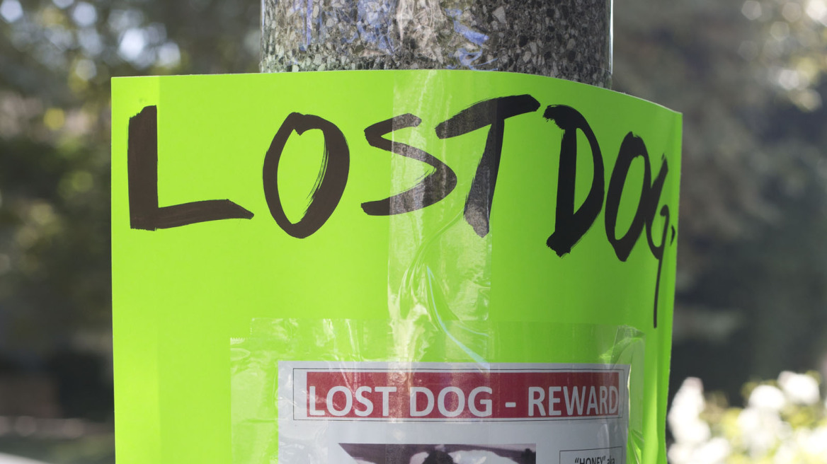 Suri Cruise: Ψάχνει με αγγελίες το σκυλάκι που έχασε