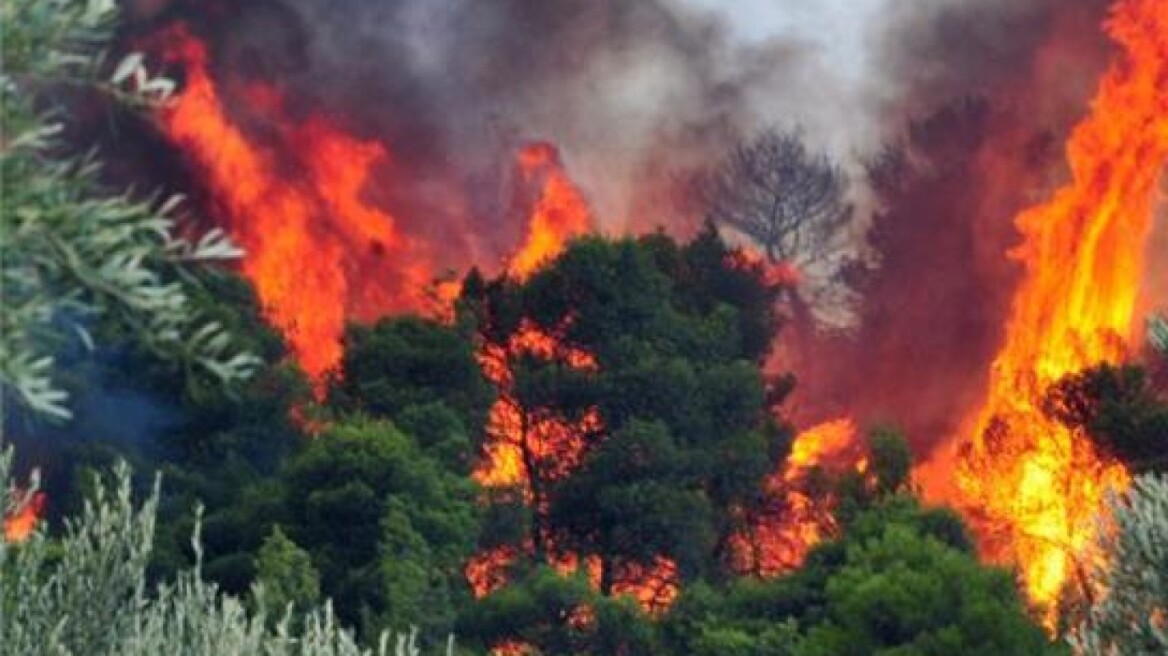 Κρήτη: Σε επιφυλακή όλη τη νύχτα η Πυροσβεστική για τη φωτιά στην Κίσαμο 