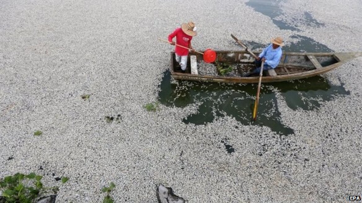 Φωτογραφίες: Λίμνη στο Μεξικό γέμισε με 48 τόνους νεκρά ψάρια