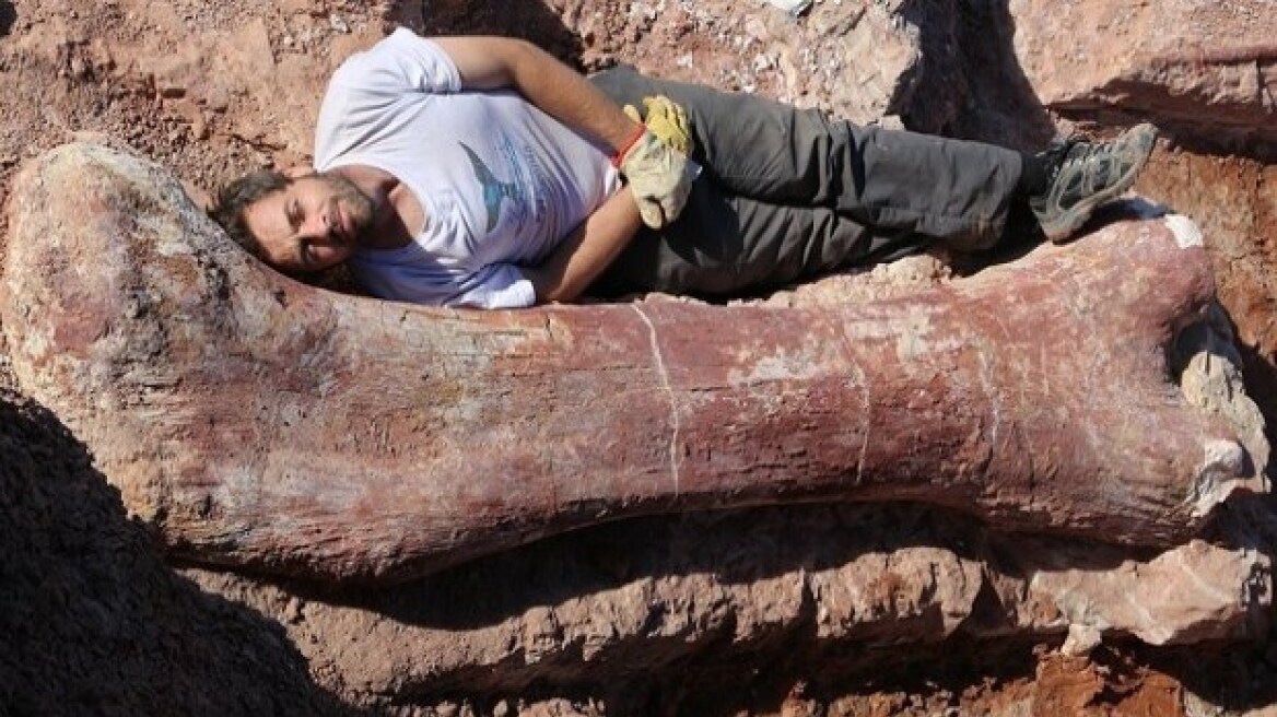 Ανακαλύφθηκε ο μεγαλύτερος δεινόσαυρος που πάτησε ποτέ στη γη!