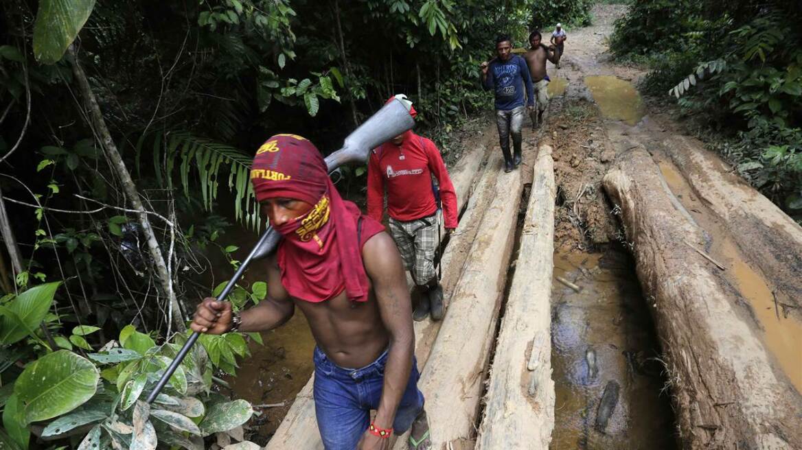 Αμαζόνιος: Οι υπερασπιστές των δασών πήραν τα όπλα