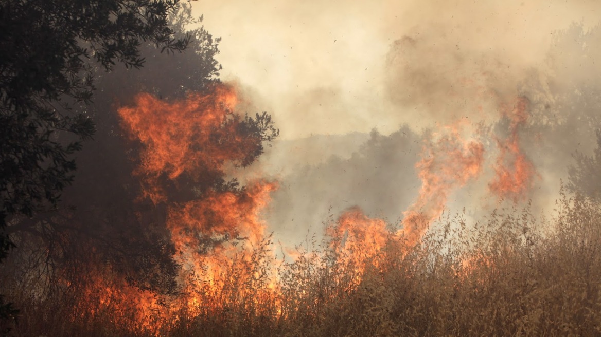 Αρκαδία: Ξεκίνησε σήμερα η καταβολή αποζημιώσεων στους πυρόπληκτους του 2007