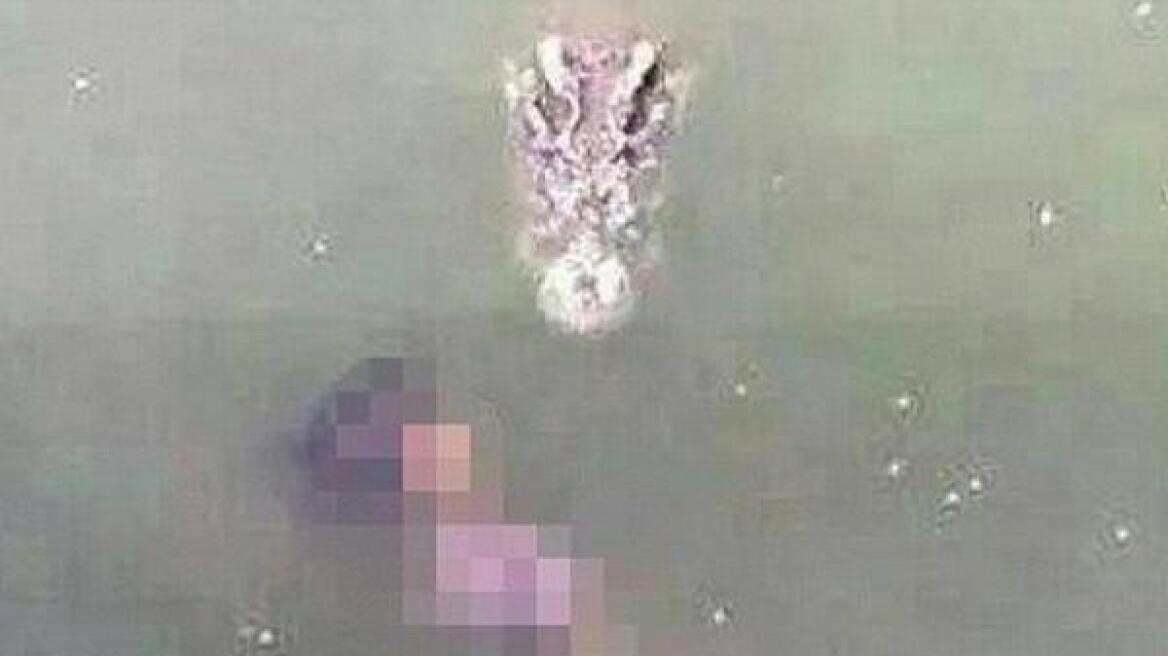 Φριχτό: Γυναίκα αυτοκτόνησε πέφτοντας σε λίμνη με κροκόδειλους 