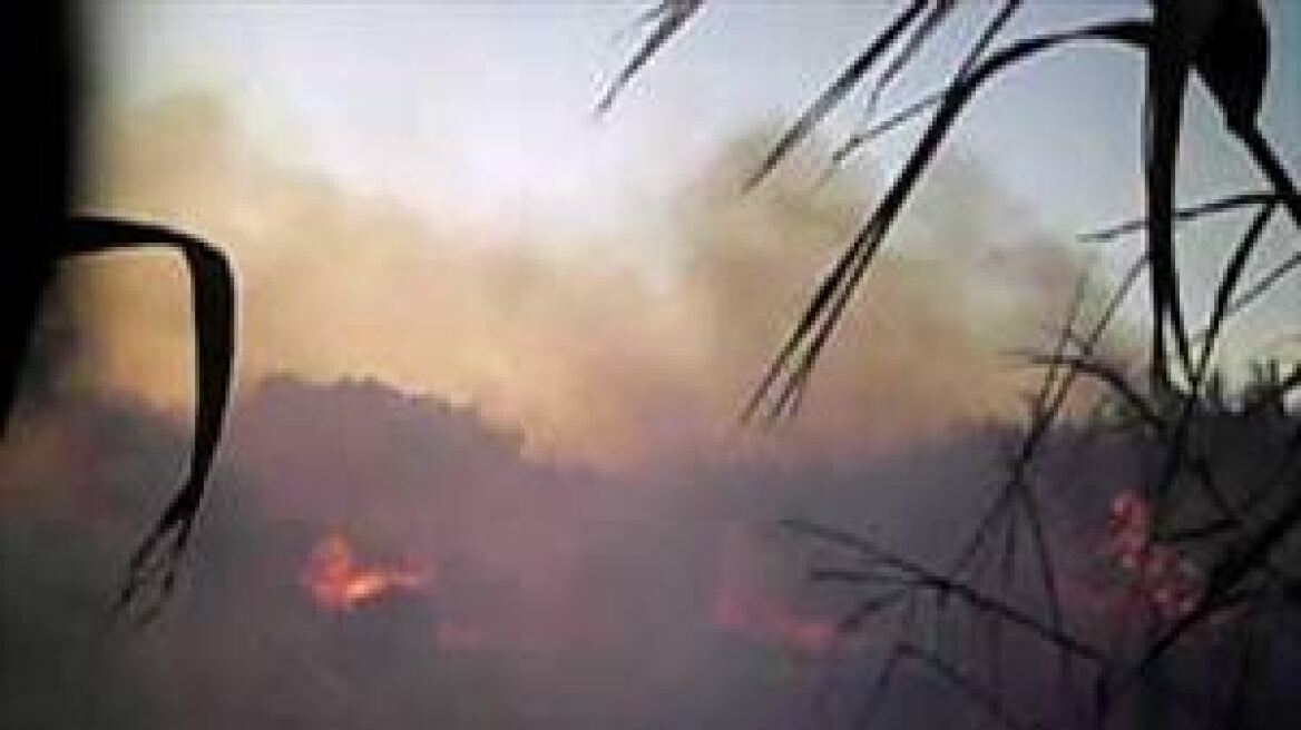 Στάχτη 25 στρέμματα από φωτιά σε χωριό στο Ρέθυμνο