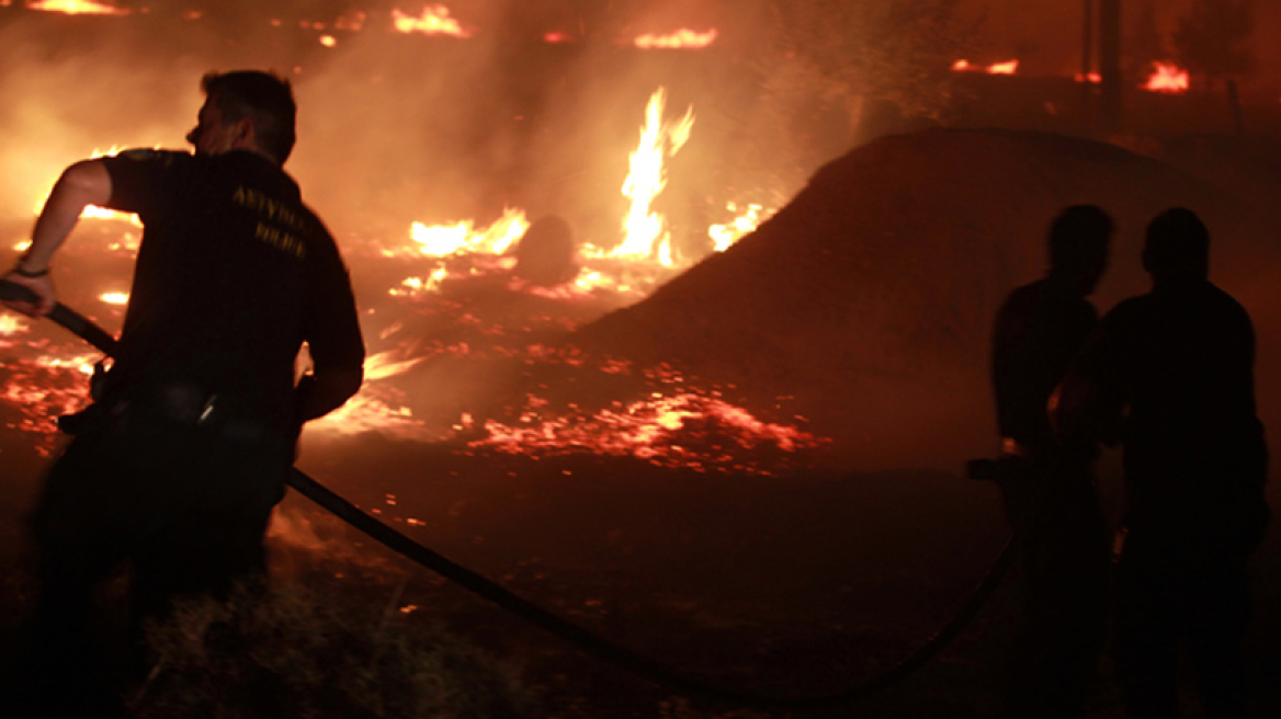 Ωρωπός: Εργοστάσιο ξυλείας παραδόθηκε στις φλόγες 