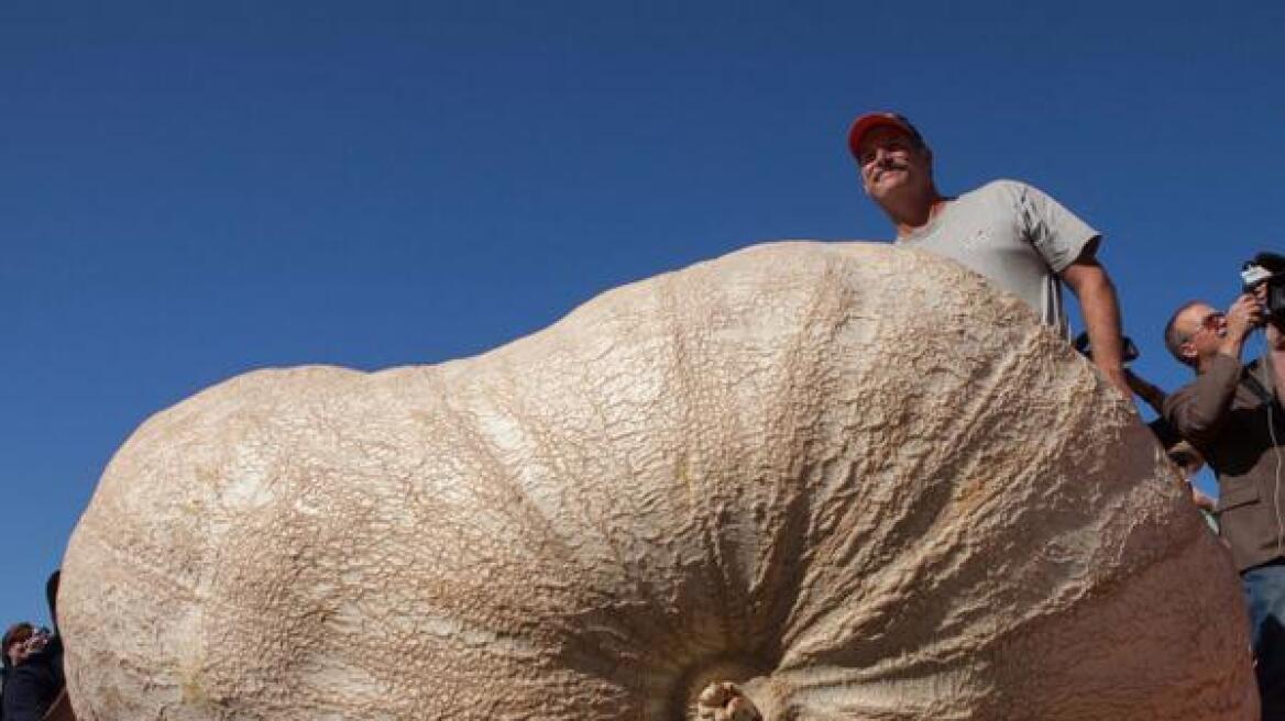 Βίντεο: Δείτε την κολοκύθα των 933 κιλών που καλλιέργησε αγρότης στις ΗΠΑ