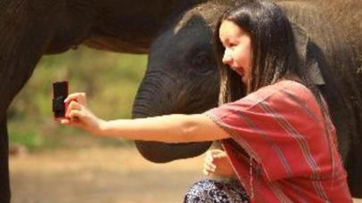 Ινδία: Ποδοπατήθηκε από ελέφαντα ενώ πήγε να τον φωτογραφίσει