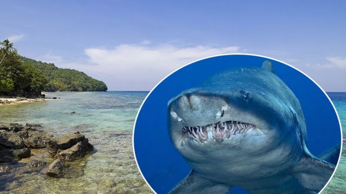Φιλιππίνες: Ένα ανθρώπινο κεφάλι και ένα πόδι βρέθηκαν στην κοιλιά καρχαρία!