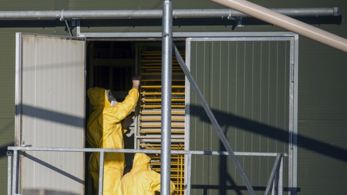 Γερμανία: Δεύτερο κρούσμα του ιού H5N8, αυτή τη φορά σε άγριο πουλί 