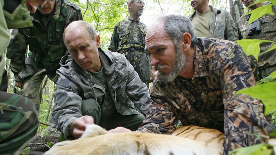 «Διπλωματικό επεισόδιο» ανάμεσα σε Ρωσία-Κίνα προκαλεί η τίγρη του Πούτιν