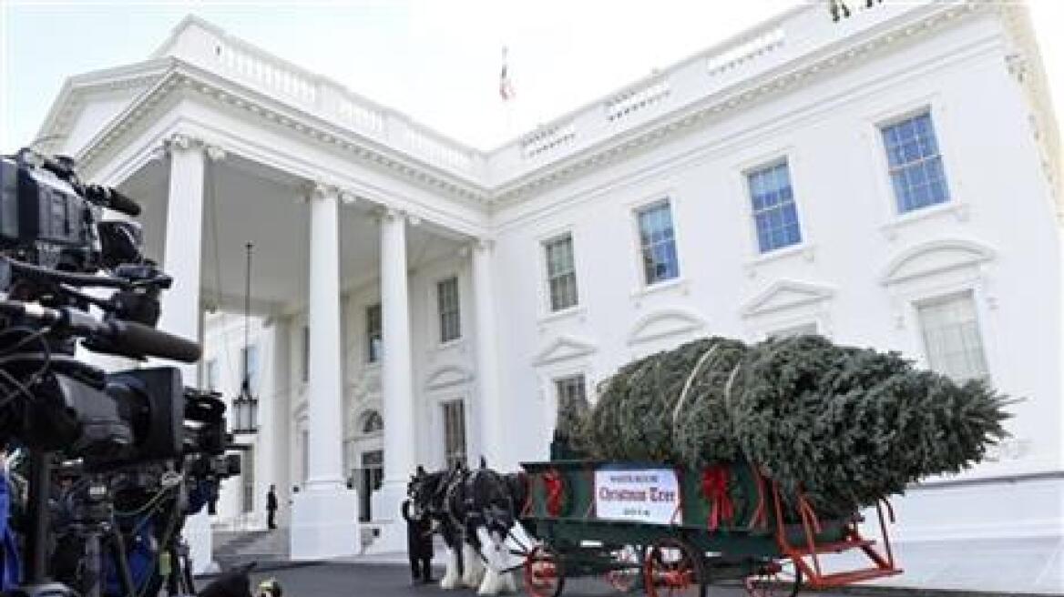 Βίντεο: Ύψους έξι μέτρων το φετινό χριστουγεννιάτικο δέντρο του Λευκού Οίκου