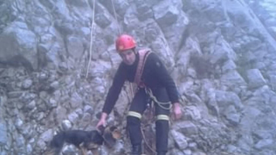 Βίντεο: Επιχείρηση της ΕΜΑΚ για διάσωση σκύλου από γκρεμό στην Εύβοια