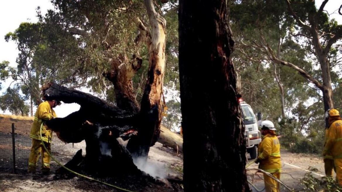 Αυστραλία: Σφοδρή πυρκαγιά κατακαίει εκτάσεις στην Αδελαΐδα