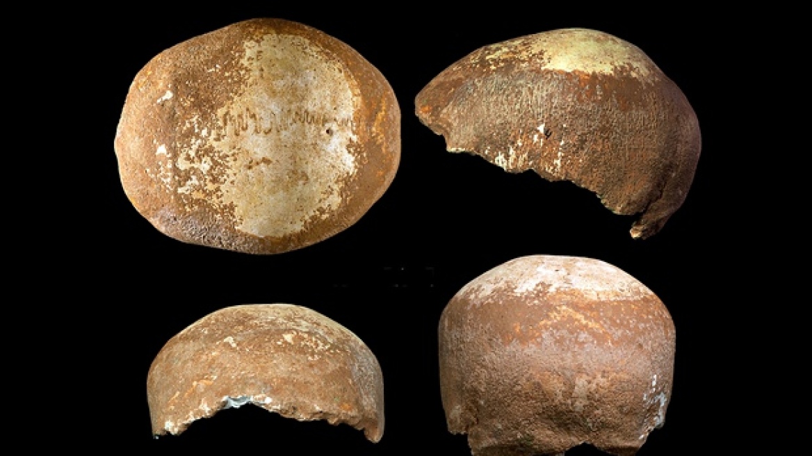 Χόμο Σάπιενς και Νεάντερταλ συνευρέθηκαν και σεξουαλικά πριν από 55.000 χρόνια