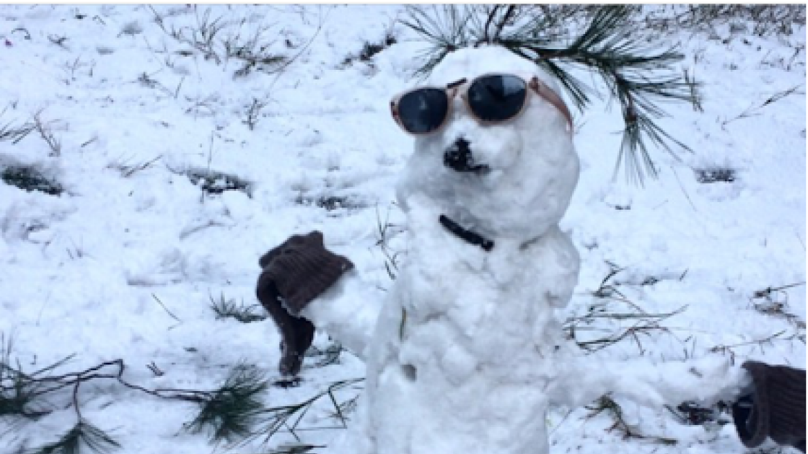 Δείτε φωτό: Ο χιονόσκυλος του Πέτρου Κωστόπουλου και το καρότο!