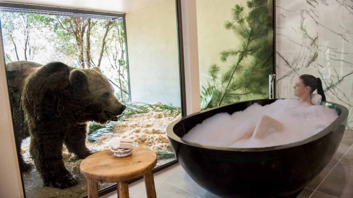 Δειπνήστε με...λιοντάρια και κάντε μπάνιο δίπλα σε αρκούδες σε ξενοδοχείο στην Αυστραλία