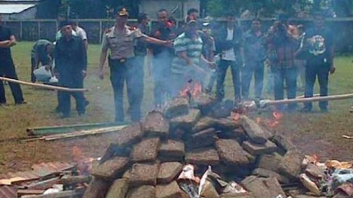 Ινδονησία: Έκαψαν τρεις τόνους κάνναβης και... μαστούρωσε ένα ολόκληρο χωριό!