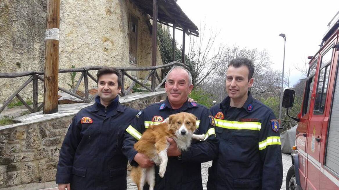 Φωτογραφίες: Πυροσβέστες έσωσαν σκυλάκι που έπεσε σε ποτάμι στη Βέροια