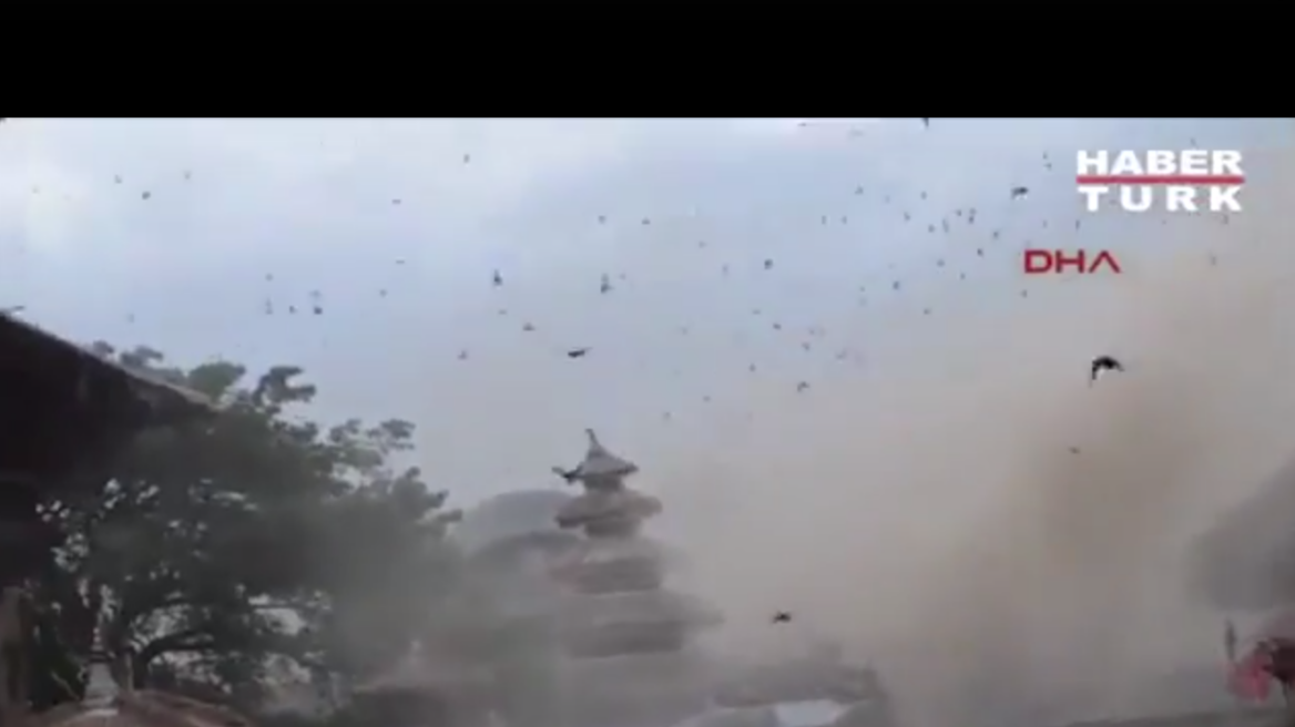 Βίντεο: Δείτε την απόκοσμη αντίδραση των πουλιών την ώρα του σεισμού στο Νεπάλ