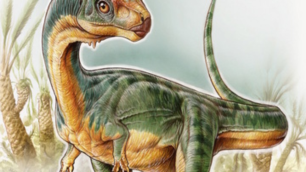 Επιστήμονες ανακάλυψαν αλλόκοτο «ξάδερφο» του Τυραννόσαυρου στη Χιλή