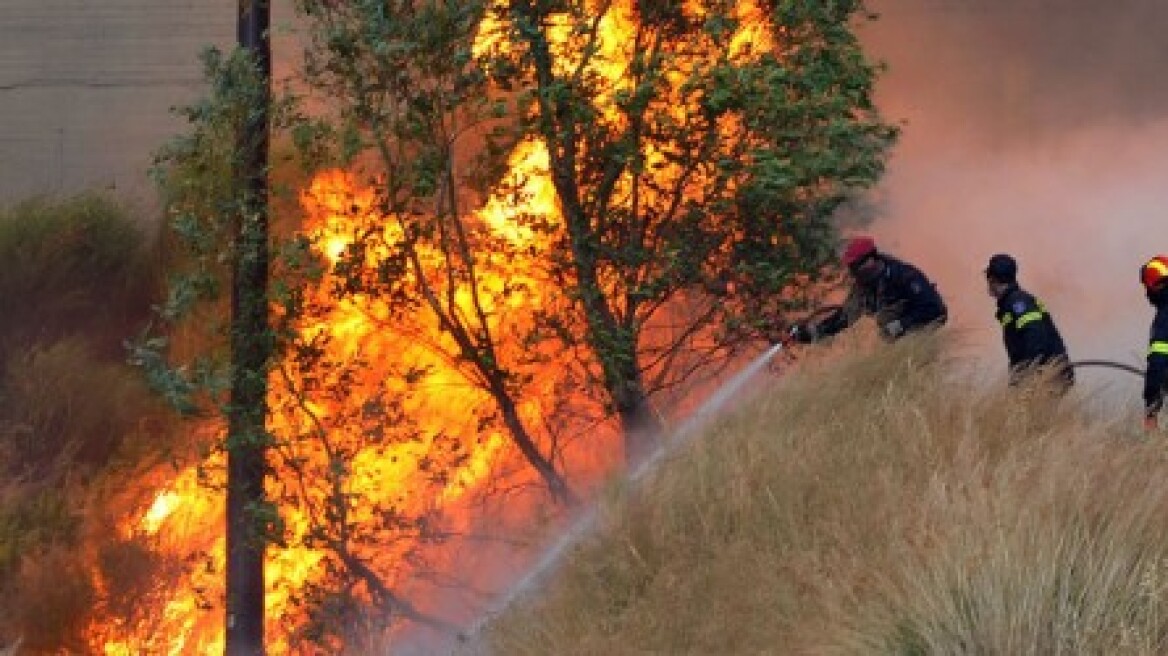 Κρήτη: Πυρκαγιά στο Ρέθυμνο 