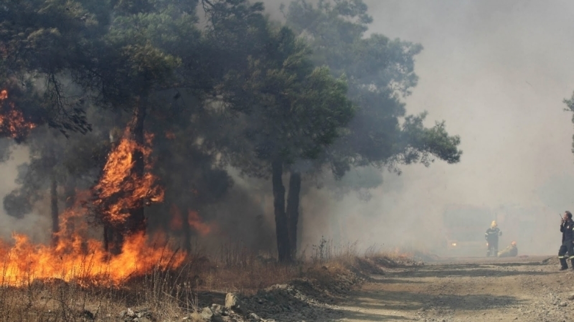 Φωτιές στην Ηλεία: Να επικυρωθούν οι καταδίκες ζητεί ο εισαγγελέας