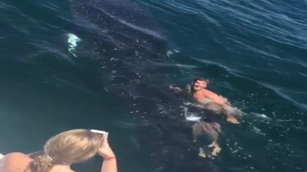 Βίντεο: Έφηβος «καβαλάει» καρχαρία ενώ οι φίλοι του ζητωκραυγάζουν