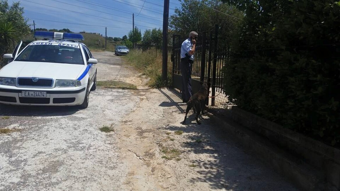 Γέρακας: 38χρονος σκότωσε δύο σκυλιά και αναζητείται από την αστυνομία