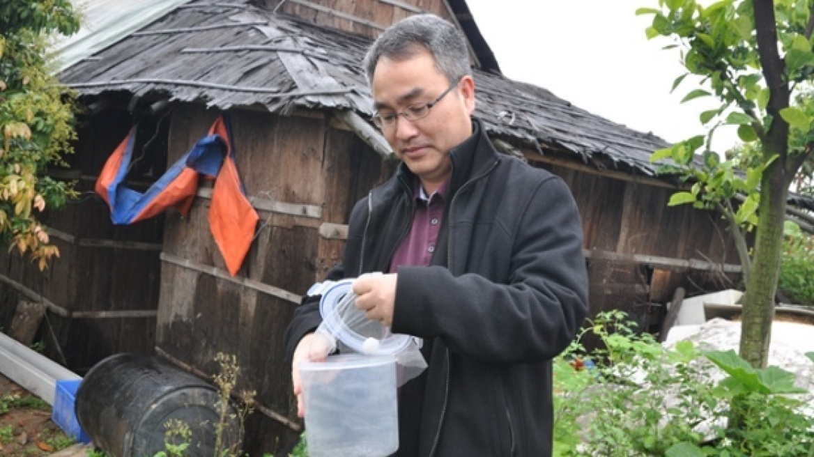 Κίνα: Στειρώνουν τα… κουνούπια για να καταπολεμήσουν το δάγκειο πυρετό