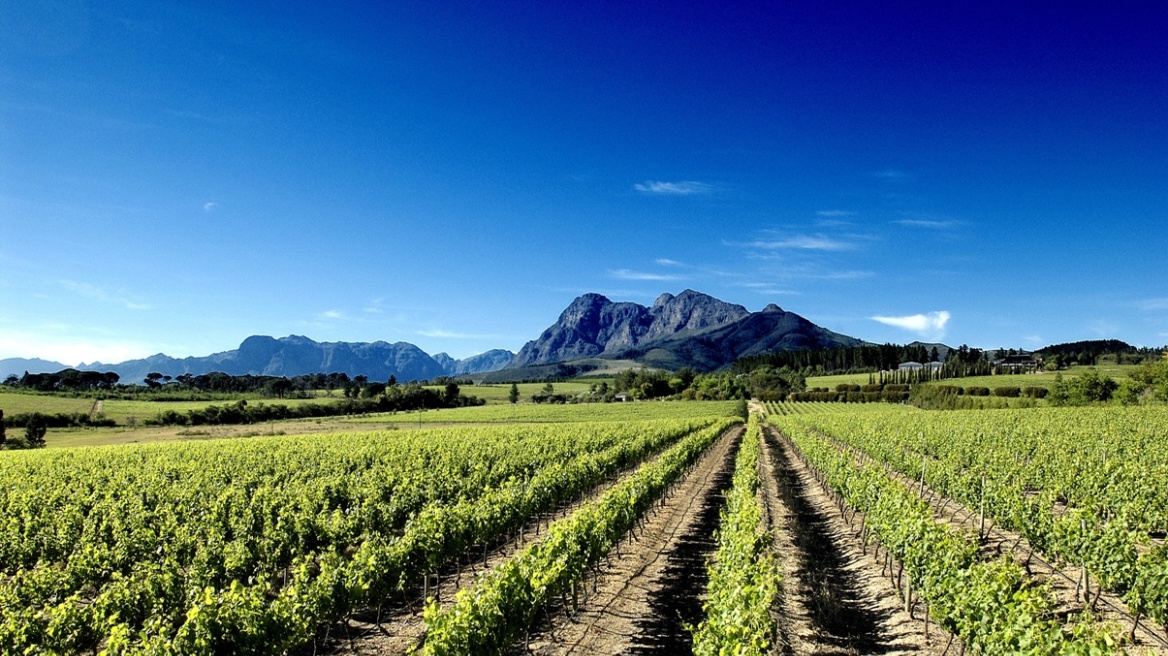 Το καλύτερο λευκό κρασί του κόσμου είναι... νοτιοαφρικανικό