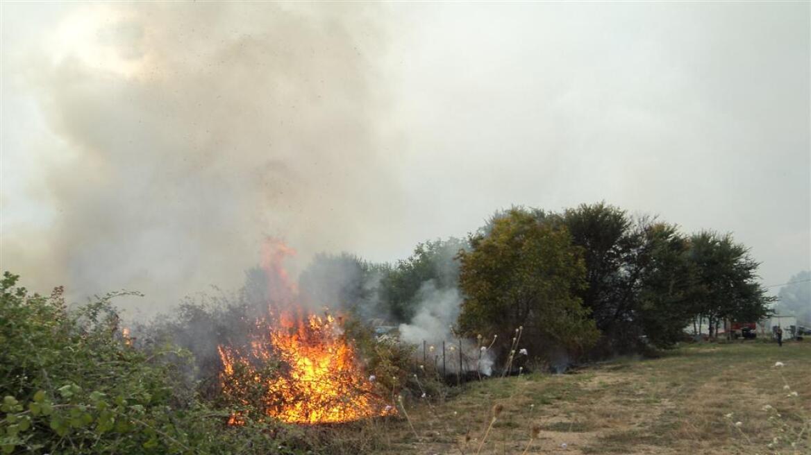 Σε εξέλιξη μεγάλη πυρκαγιά στα Βίλια - Υπό μερικό έλεγχο στους Γαργαλιάνους