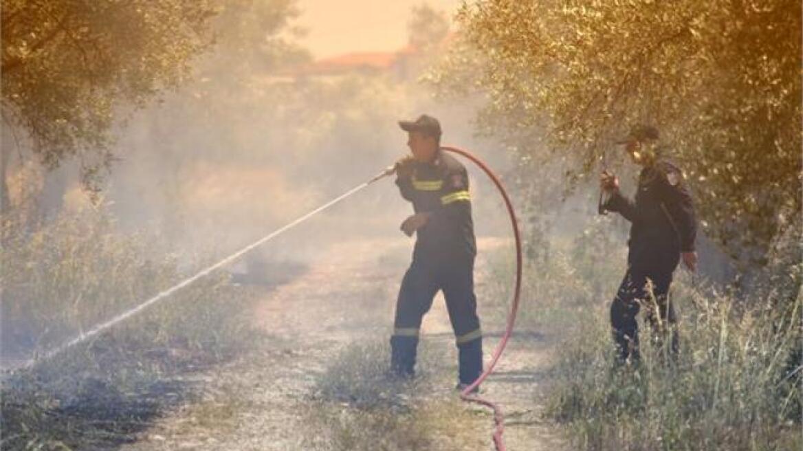 Σβήστηκαν οι φωτιές σε Μεσσηνία και Αργολίδα