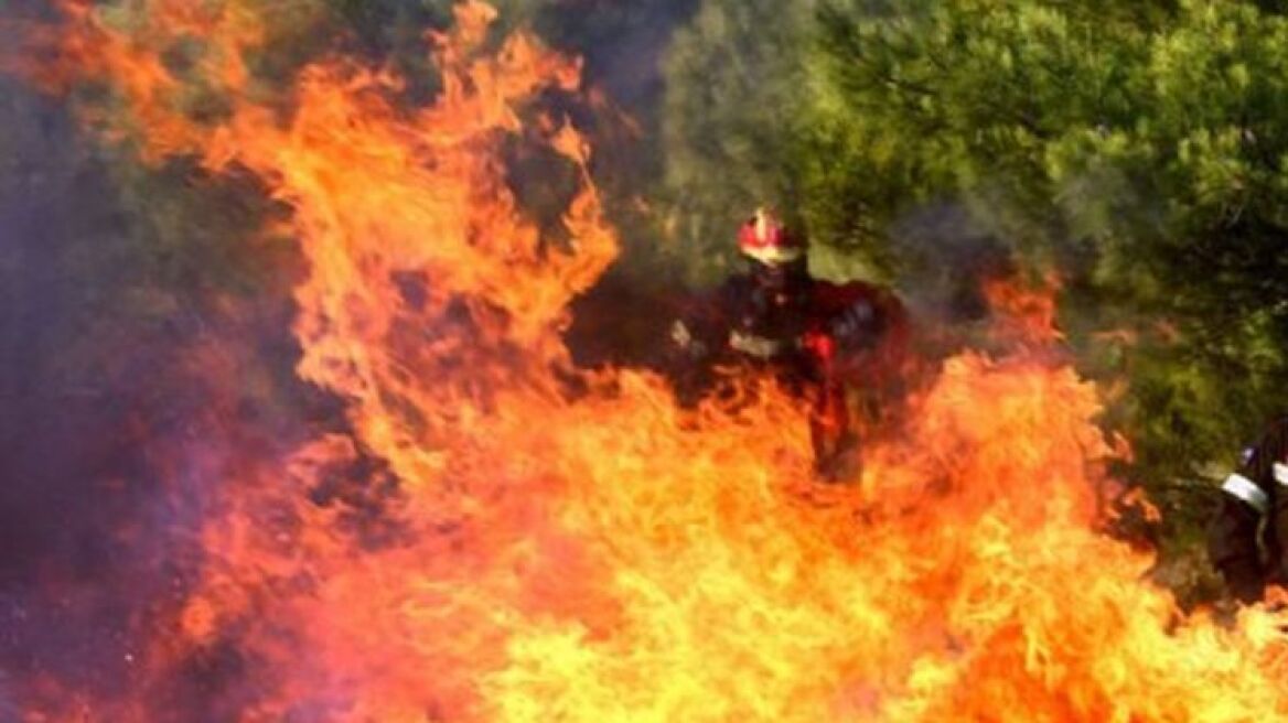 Ηλεία: Καταδικάστηκε ο πρώην νομάρχης και ο δήμαρχος Ζαχάρως για την πυρκαγιά το 2007