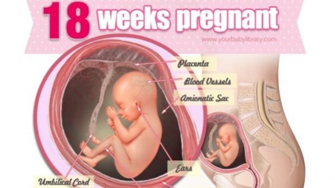 Εγκυμοσύνη ανά εβδομάδα: 18η εβδομάδα της κύησης!