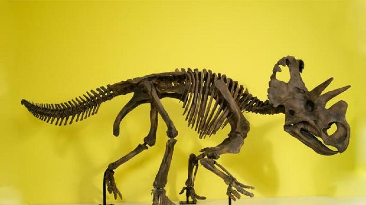 Παλαιοντολόγοι ανακάλυψαν νέο είδος δεινόσαυρου