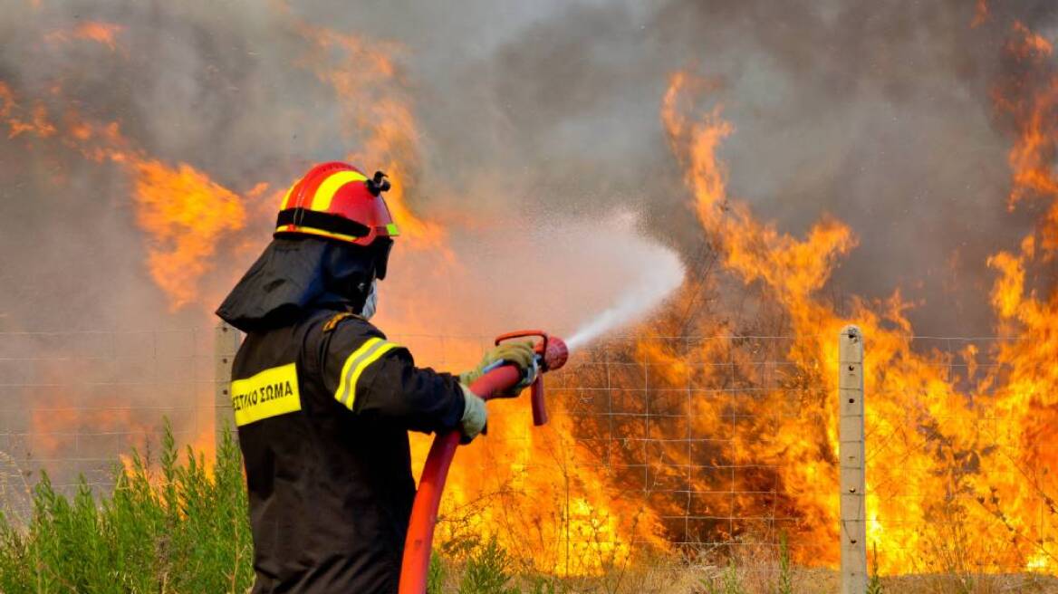 Νέα πυρκαγιά ξέσπασε κοντά στην Χαλκίδα - Μαίνεται ανεξέλεγκτη 