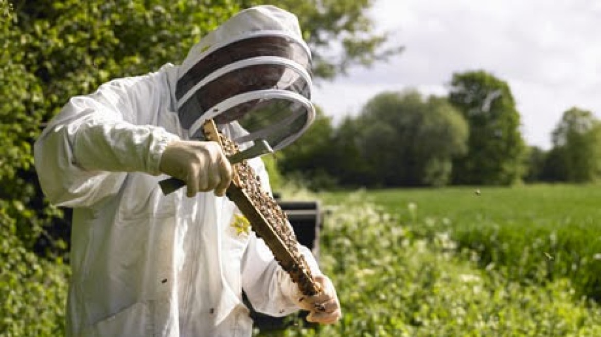 Μελισσοκόμος εμπρηστής συνελήφθη στην Ακράτα