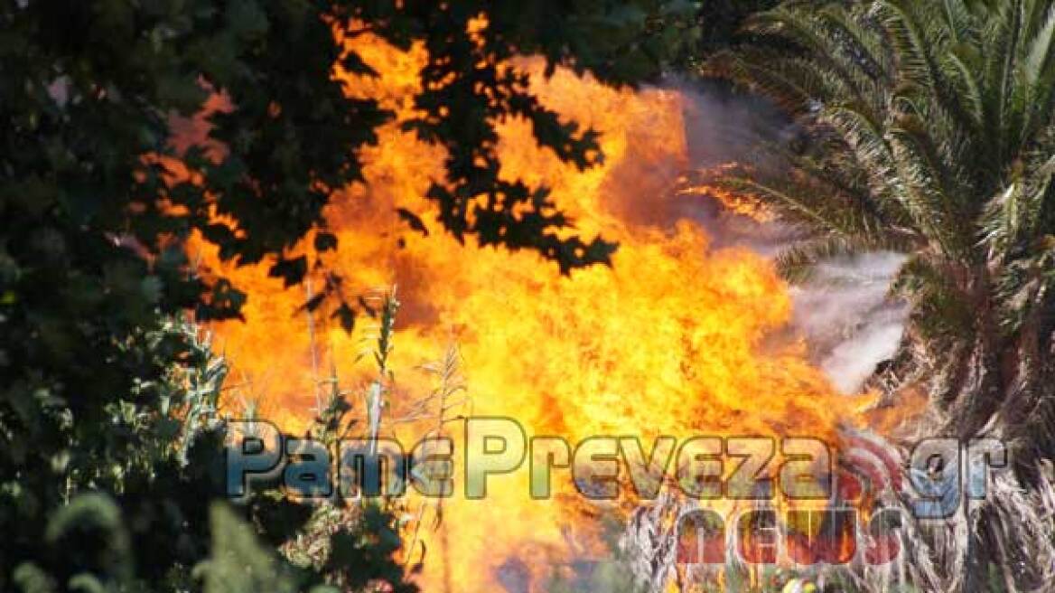 Μεγάλη φωτιά στο Καλαμίτσι στην Πρέβεζα