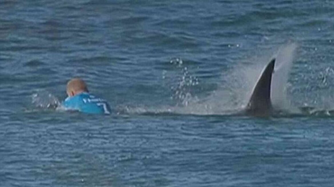 Surfer punches shark and escapes (video)