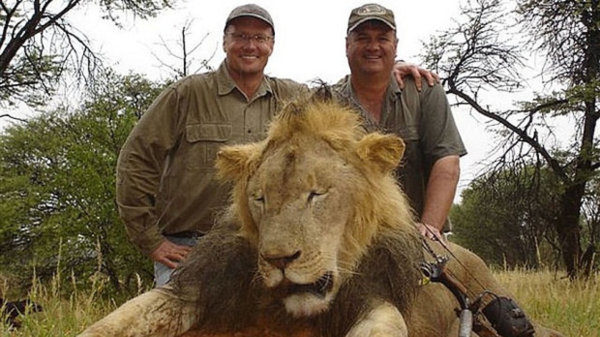 Βίντεο: Ο Jimmy Kimmel «ξεσπαθώνει» για το φόνο του πιο διάσημου λιονταριού στον κόσμο