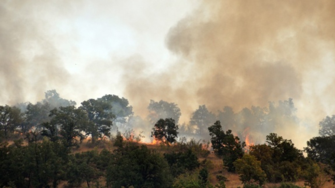 Βουλγαρία: Συνολικά 133 δασικές πυρκαγιές ξέσπασαν από την αρχή της χρονιάς