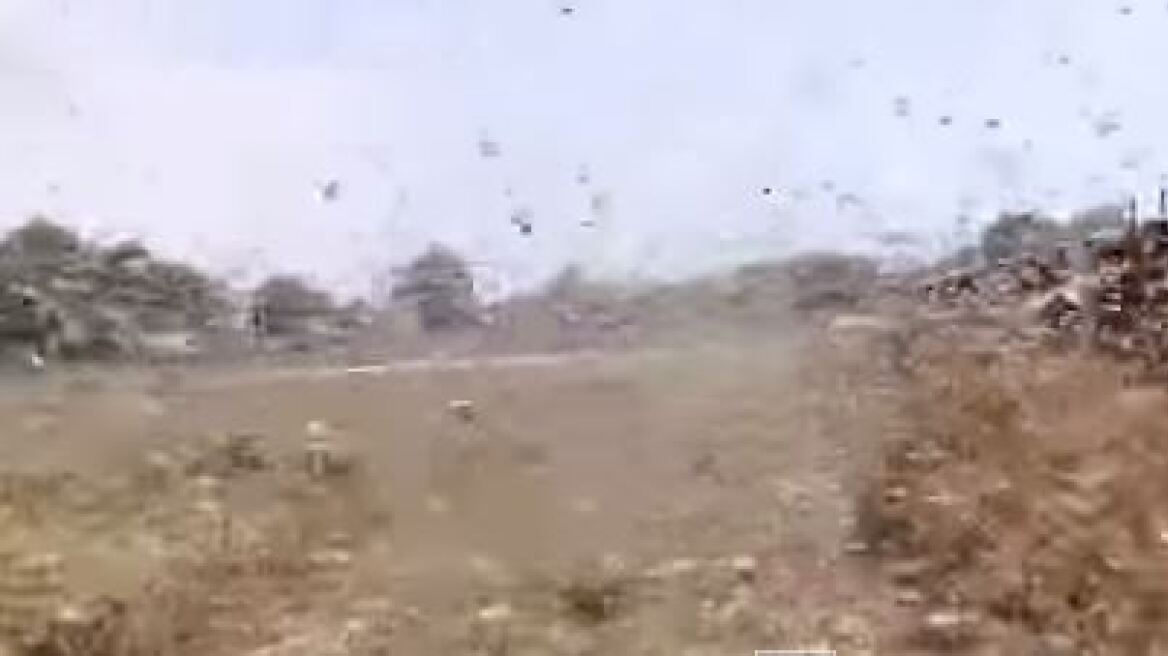 Βίντεο: «Συννέφιασε» ο ουρανός από τις ακρίδες στη Ρωσία 