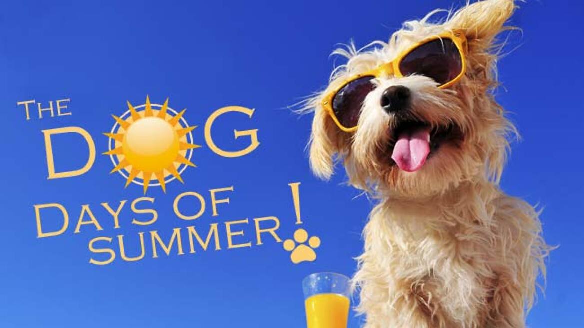 How did the ancient Greeks invent the dog days of summer? 