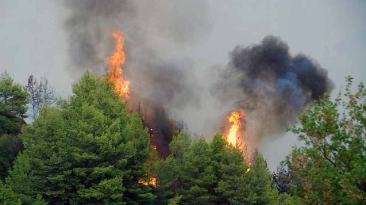 Υπό μερικό έλεγχο έχει τεθεί η πυρκαγιά στη δυτική Αχαΐα