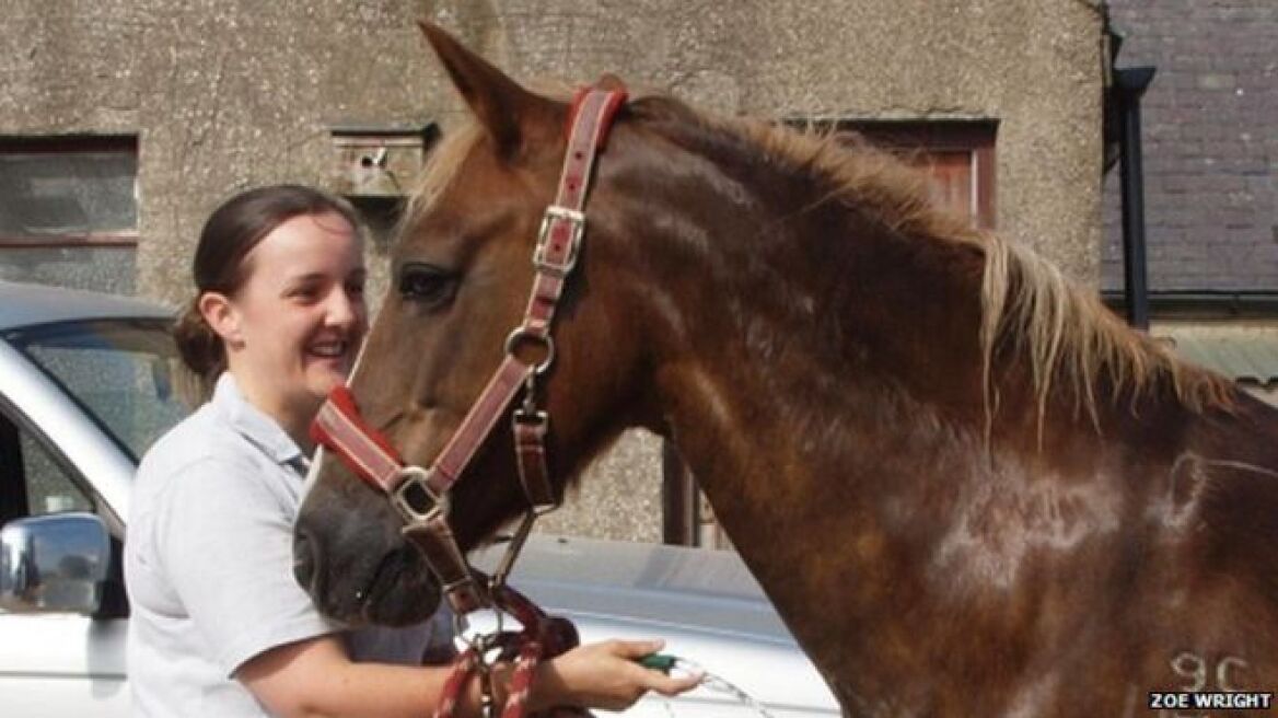 Σκωτία: Βίασαν και σκότωσαν άλογο με δύο μαχαιριές