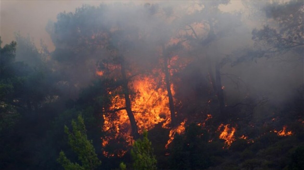 Υπό μερικό έλεγχο η πυρκαγιά στην περιοχή Καλαμάκι, στη Ζάκυνθο