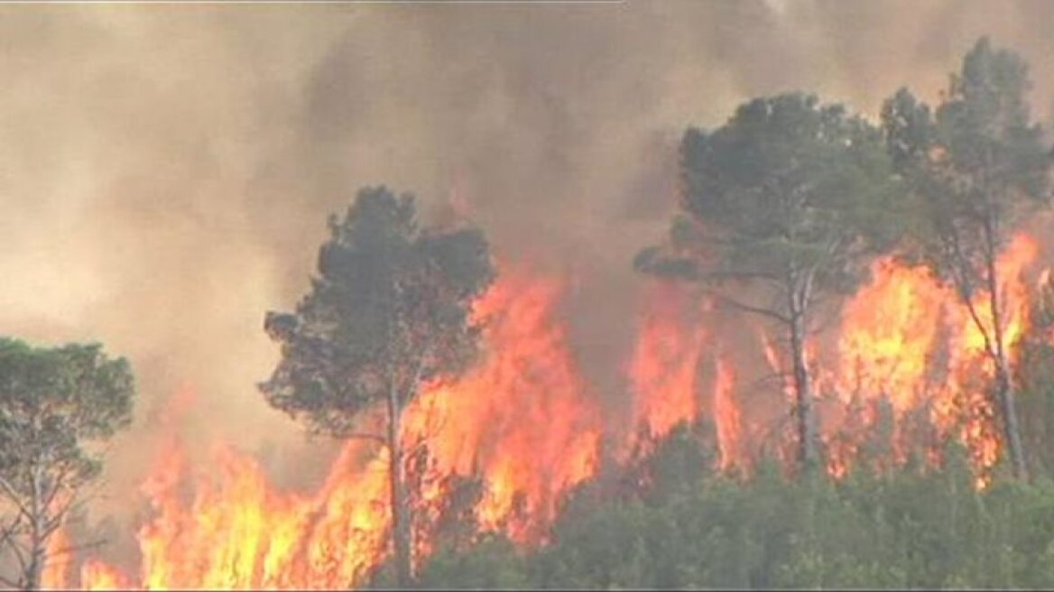 Ισπανία: Κάηκαν 20.000 στρέμματα δάσους στη Γαλικία
